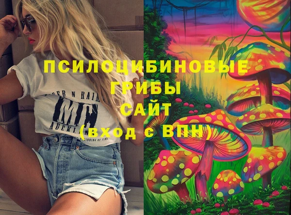 гидропоника Белоозёрский