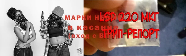 ГАЛЛЮЦИНОГЕННЫЕ ГРИБЫ Богданович