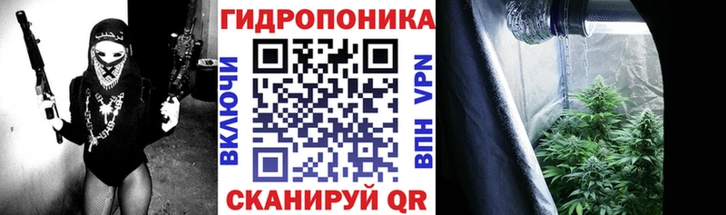 Конопля LSD WEED  наркота  Белый 